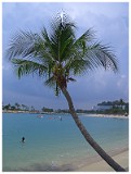 Fake Beach, Singapore